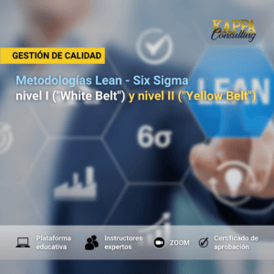Curso virtual Lean Six Sigma White Belt Yellow Belt
