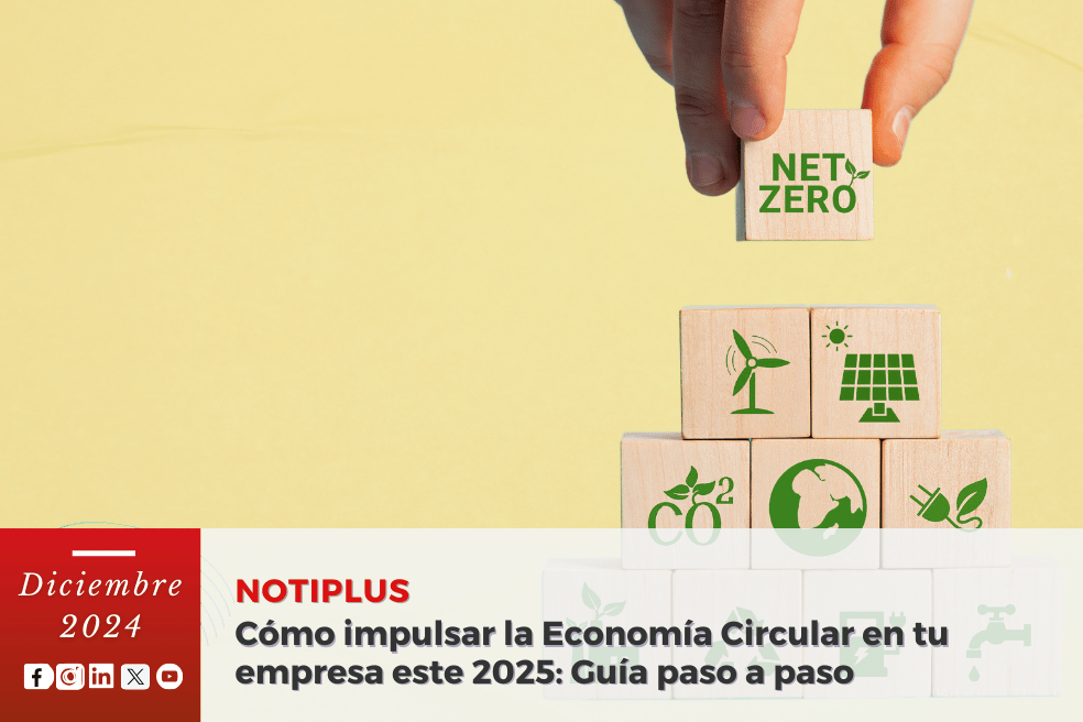 Cómo impulsar la Economía Circular en tu empresa este 2025: Guía paso a paso